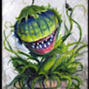 Meet your Posher, Mia